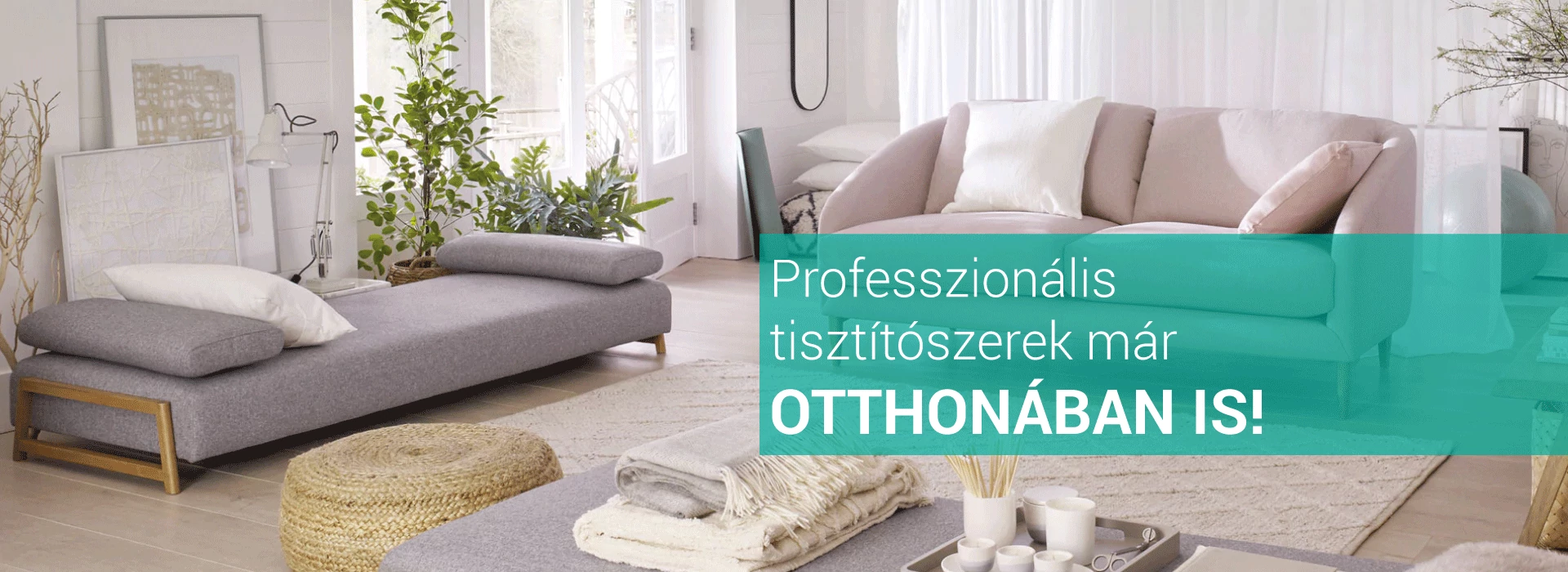 Tiszt&iacute;t&aacute;s